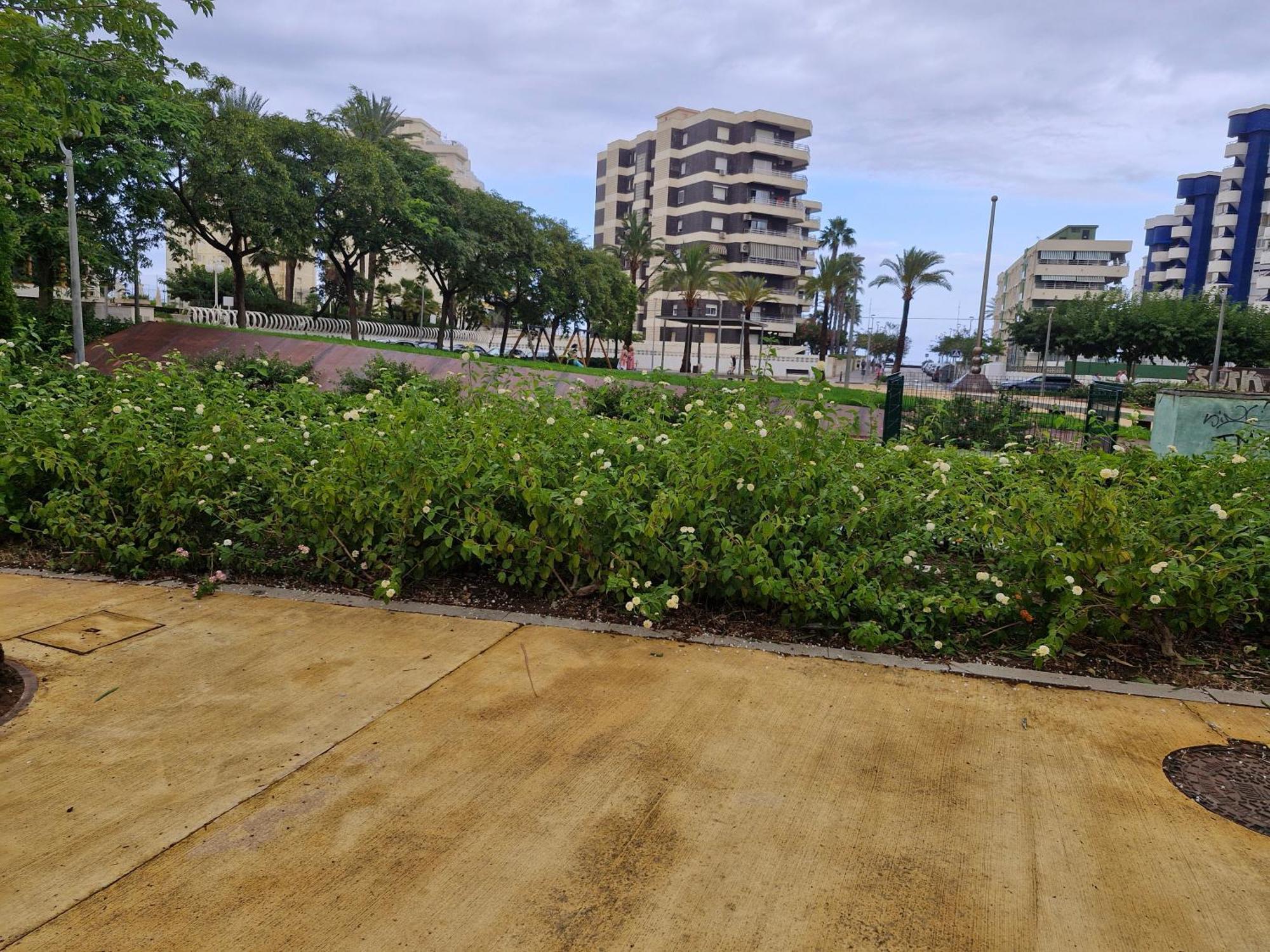 Acogedor En Playa Gandia Apartment